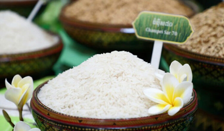 /2026/06/cambodia-earns-over-900m-in-rice-exports-in-first-five-months-52000-635050.htm